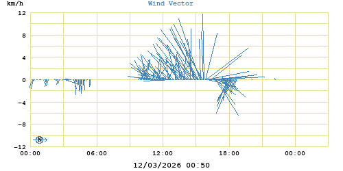 Wind Vector