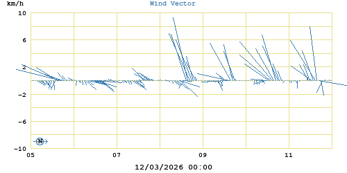 Wind Vector