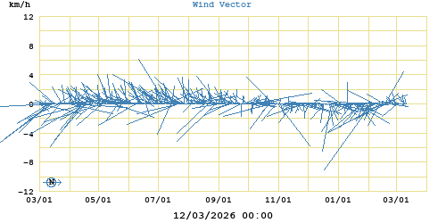 Wind Vector